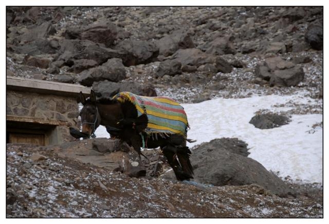 toubkal 240 (Small).jpg